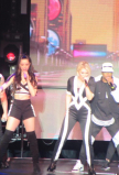 ShannonMcginnx-01.jpg